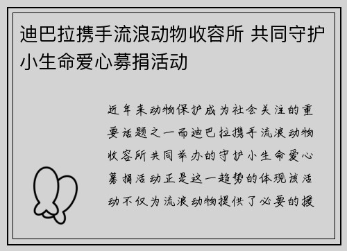 迪巴拉携手流浪动物收容所 共同守护小生命爱心募捐活动