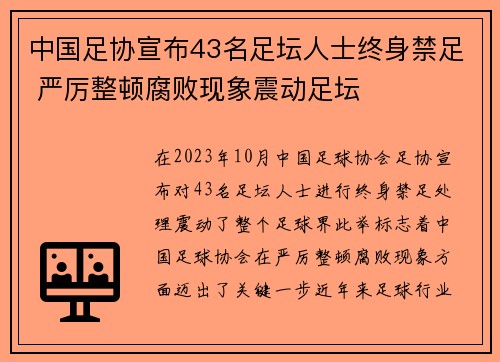 中国足协宣布43名足坛人士终身禁足 严厉整顿腐败现象震动足坛